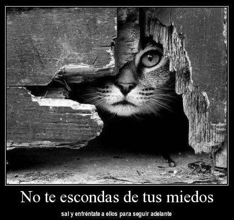 No te escondas de tus miedos